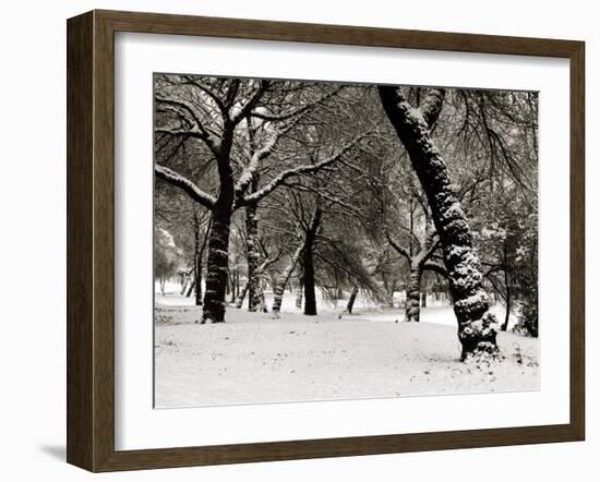 Queens Park Manchester in the Winter-null-Framed Photographic Print