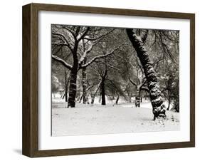 Queens Park Manchester in the Winter-null-Framed Photographic Print