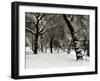 Queens Park Manchester in the Winter-null-Framed Photographic Print