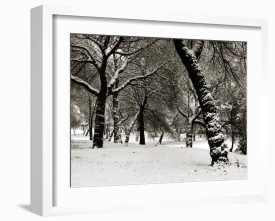 Queens Park Manchester in the Winter-null-Framed Photographic Print