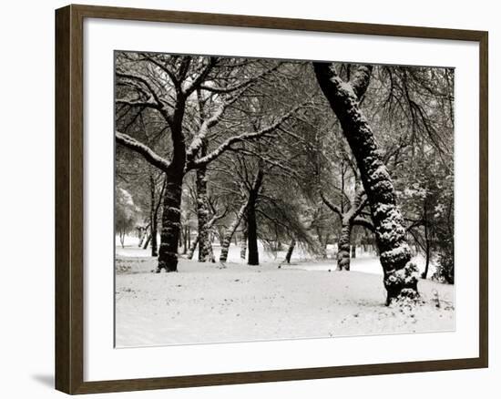 Queens Park Manchester in the Winter-null-Framed Photographic Print