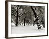 Queens Park Manchester in the Winter-null-Framed Photographic Print