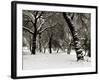 Queens Park Manchester in the Winter-null-Framed Photographic Print