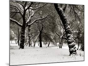 Queens Park Manchester in the Winter-null-Mounted Photographic Print