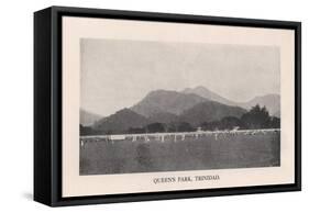 Queens Park Oval, Port of Spain, Trinidad, 1912-null-Framed Stretched Canvas