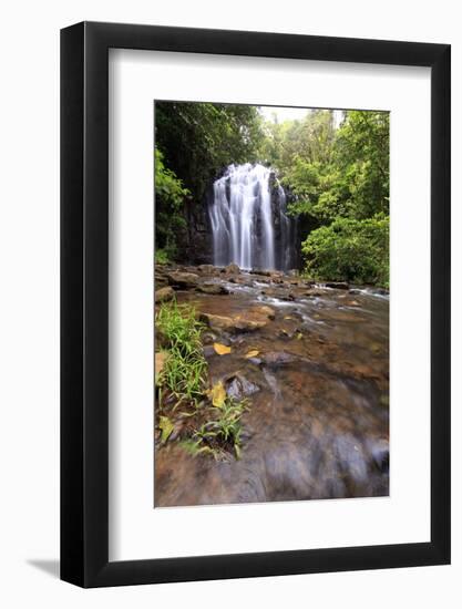 Queensland, Australia-Paul Dymond-Framed Photographic Print