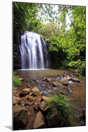 Queensland, Australia-Paul Dymond-Mounted Photographic Print