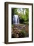 Queensland, Australia-Paul Dymond-Framed Photographic Print