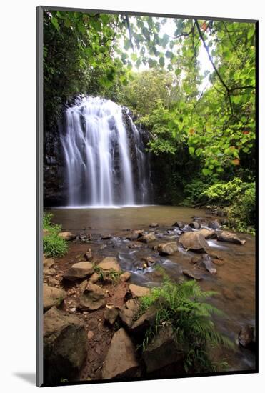 Queensland, Australia-Paul Dymond-Mounted Photographic Print