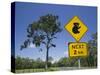 Queensland, Fraser Coast, Maryborough, Koala Crossing Sign on the Bruce Highway, Australia-Walter Bibikow-Stretched Canvas