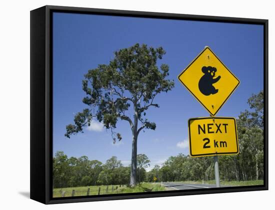 Queensland, Fraser Coast, Maryborough, Koala Crossing Sign on the Bruce Highway, Australia-Walter Bibikow-Framed Stretched Canvas