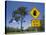 Queensland, Fraser Coast, Maryborough, Koala Crossing Sign on the Bruce Highway, Australia-Walter Bibikow-Stretched Canvas