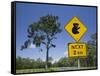 Queensland, Fraser Coast, Maryborough, Koala Crossing Sign on the Bruce Highway, Australia-Walter Bibikow-Framed Stretched Canvas