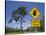 Queensland, Fraser Coast, Maryborough, Koala Crossing Sign on the Bruce Highway, Australia-Walter Bibikow-Stretched Canvas