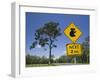 Queensland, Fraser Coast, Maryborough, Koala Crossing Sign on the Bruce Highway, Australia-Walter Bibikow-Framed Photographic Print