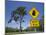 Queensland, Fraser Coast, Maryborough, Koala Crossing Sign on the Bruce Highway, Australia-Walter Bibikow-Mounted Photographic Print