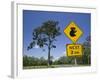 Queensland, Fraser Coast, Maryborough, Koala Crossing Sign on the Bruce Highway, Australia-Walter Bibikow-Framed Photographic Print