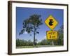 Queensland, Fraser Coast, Maryborough, Koala Crossing Sign on the Bruce Highway, Australia-Walter Bibikow-Framed Photographic Print