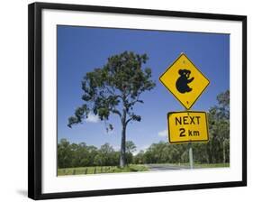 Queensland, Fraser Coast, Maryborough, Koala Crossing Sign on the Bruce Highway, Australia-Walter Bibikow-Framed Photographic Print