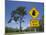 Queensland, Fraser Coast, Maryborough, Koala Crossing Sign on the Bruce Highway, Australia-Walter Bibikow-Mounted Photographic Print