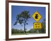 Queensland, Fraser Coast, Maryborough, Koala Crossing Sign on the Bruce Highway, Australia-Walter Bibikow-Framed Photographic Print