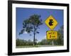 Queensland, Fraser Coast, Maryborough, Koala Crossing Sign on the Bruce Highway, Australia-Walter Bibikow-Framed Photographic Print