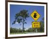 Queensland, Fraser Coast, Maryborough, Koala Crossing Sign on the Bruce Highway, Australia-Walter Bibikow-Framed Photographic Print