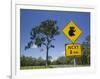 Queensland, Fraser Coast, Maryborough, Koala Crossing Sign on the Bruce Highway, Australia-Walter Bibikow-Framed Photographic Print