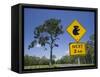 Queensland, Fraser Coast, Maryborough, Koala Crossing Sign on the Bruce Highway, Australia-Walter Bibikow-Framed Stretched Canvas