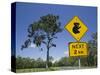 Queensland, Fraser Coast, Maryborough, Koala Crossing Sign on the Bruce Highway, Australia-Walter Bibikow-Stretched Canvas