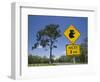 Queensland, Fraser Coast, Maryborough, Koala Crossing Sign on the Bruce Highway, Australia-Walter Bibikow-Framed Photographic Print