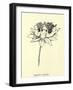 Queeriflora Babyoides-Edward Lear-Framed Giclee Print