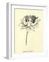 Queeriflora Babyoides-Edward Lear-Framed Giclee Print