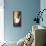 Quelques Fleurs sur Bleus d'Azur-Natalie Savard-Stretched Canvas displayed on a wall