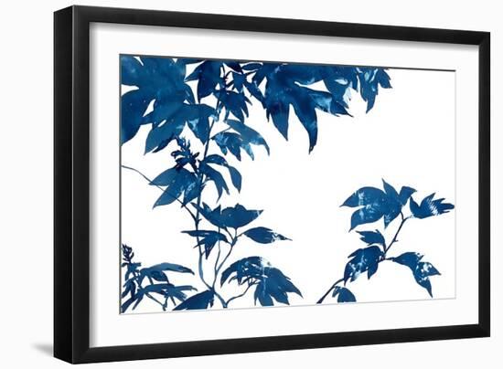 Quercifolia-Cynthia MacCollum-Framed Premium Giclee Print