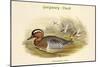 Querquedula Circia - Garganey - Duck-John Gould-Mounted Art Print