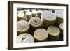 Queserýa Rogelio Lopez Campo, Cabrales Cheese Maker, at Sotres, Asturias, Spain-Carlos Sanchez Pereyra-Framed Photographic Print