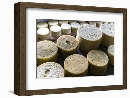 Queserýa Rogelio Lopez Campo, Cabrales Cheese Maker, at Sotres, Asturias, Spain-Carlos Sanchez Pereyra-Framed Photographic Print