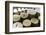 Queserýa Rogelio Lopez Campo, Cabrales Cheese Maker, at Sotres, Asturias, Spain-Carlos Sanchez Pereyra-Framed Photographic Print