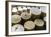 Queserýa Rogelio Lopez Campo, Cabrales Cheese Maker, at Sotres, Asturias, Spain-Carlos Sanchez Pereyra-Framed Photographic Print