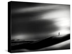 Quest-Josh Adamski-Stretched Canvas