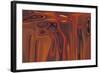 quest-Rabi Khan-Framed Art Print