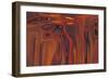 quest-Rabi Khan-Framed Art Print