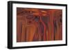 quest-Rabi Khan-Framed Premium Giclee Print