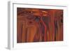 quest-Rabi Khan-Framed Premium Giclee Print