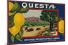 Questa Lemon Label - Corona, CA-Lantern Press-Mounted Art Print