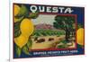 Questa Lemon Label - Corona, CA-Lantern Press-Framed Art Print