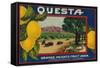 Questa Lemon Label - Corona, CA-Lantern Press-Framed Stretched Canvas