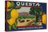 Questa Lemon Label - Corona, CA-Lantern Press-Stretched Canvas