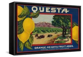 Questa Lemon Label - Corona, CA-Lantern Press-Framed Stretched Canvas